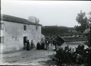 Icon of Huerto De Naranjas-carcaixent-1889