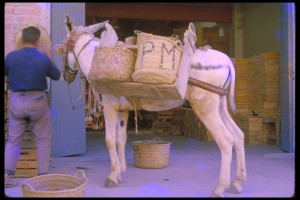 Icon of Burro Con Naranjas
