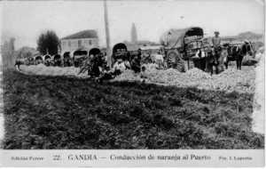 Icon of Naranjas Hacia El Puerto
