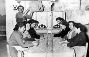Icon of Almacen Triadoras