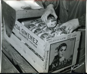 Icon of Inspeccion De Naranjas-1968