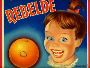 Icon of REBELDE