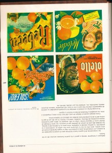 Icon of Naranjas
