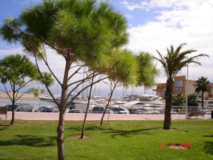 Icon of Gandia Club Nautico 1