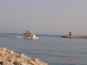 Icon of Gandia-puerto-24