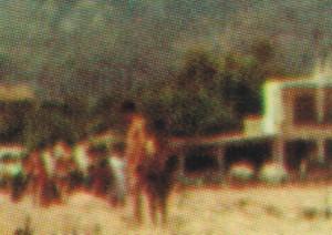 Icon of Barrina1