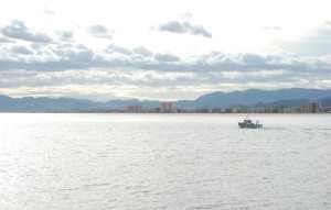 Icon of Gandia-espigon Norte Helena Mg2