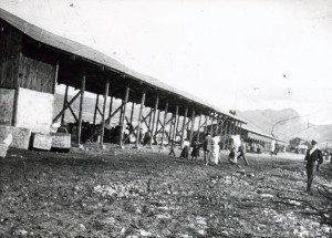 Icon of PRIMITIVOS ALMACENES PORTUARIOS 1890035