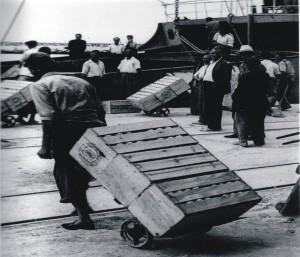 Icon of Port41
